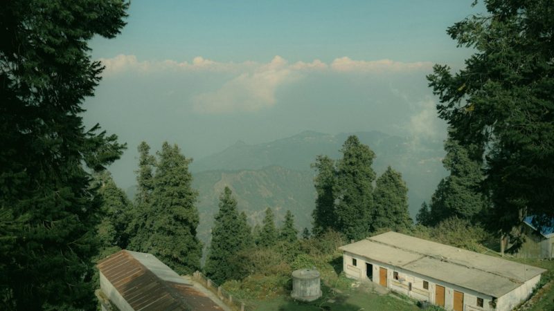 Преимущества клееного бруса для строительства домов и бань