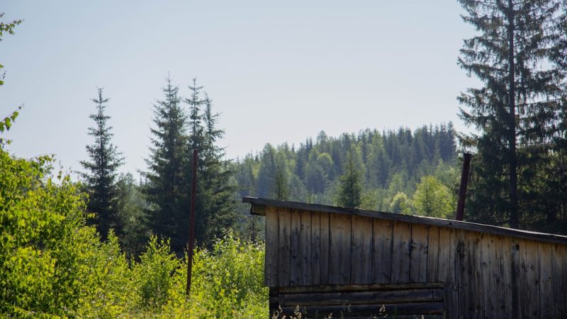 Строительство домов из бруса под ключ