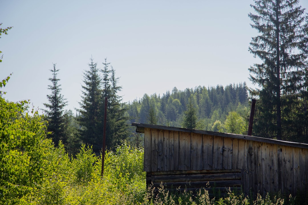 Строительство домов из бруса под ключ