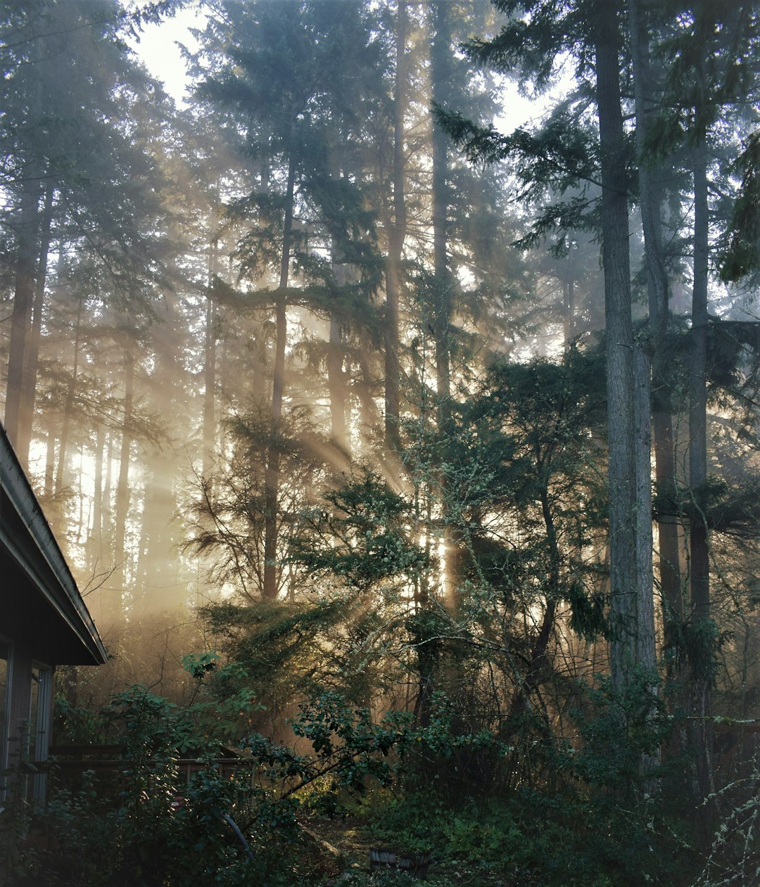 Строительство домов из бруса под ключ в Екатеринбурге