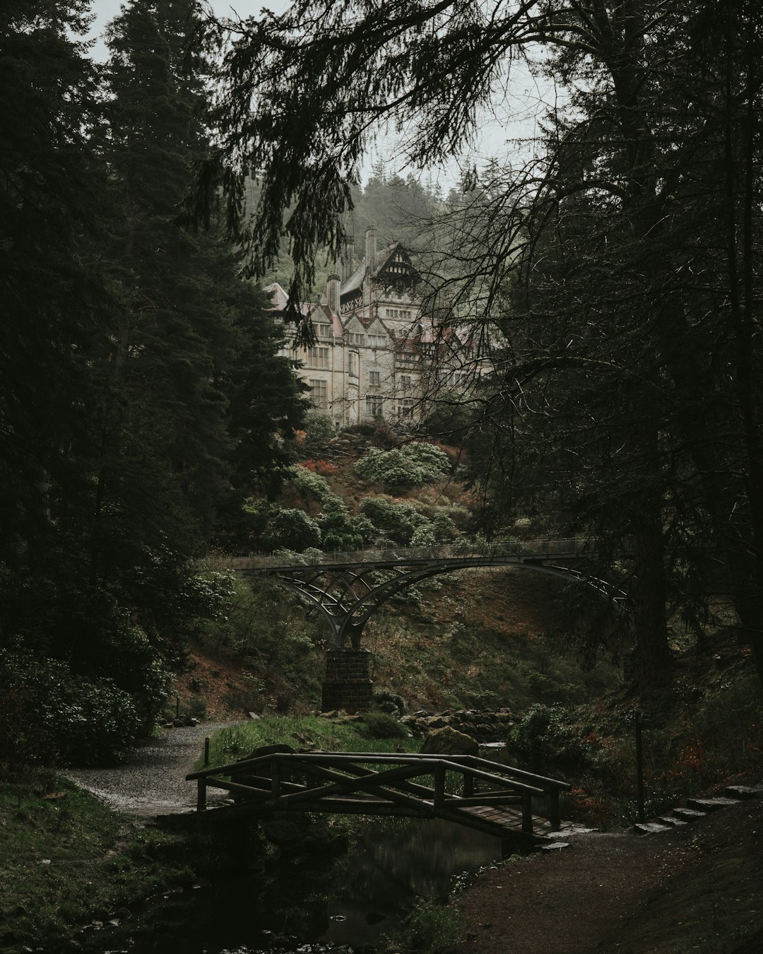 Строительство домов из бруса