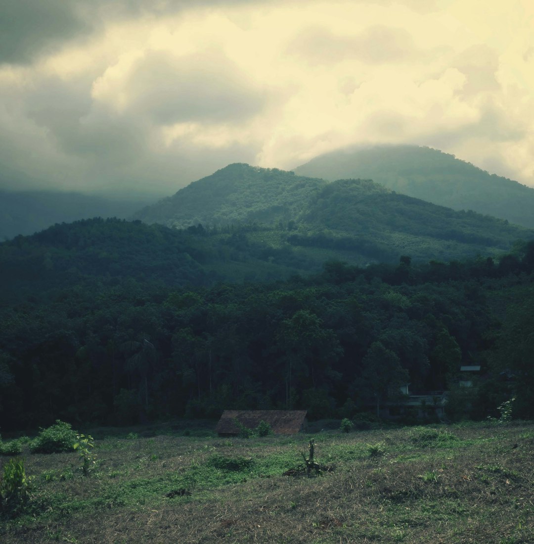 Строительство бань из клееного бруса под ключ в Екатеринбурге