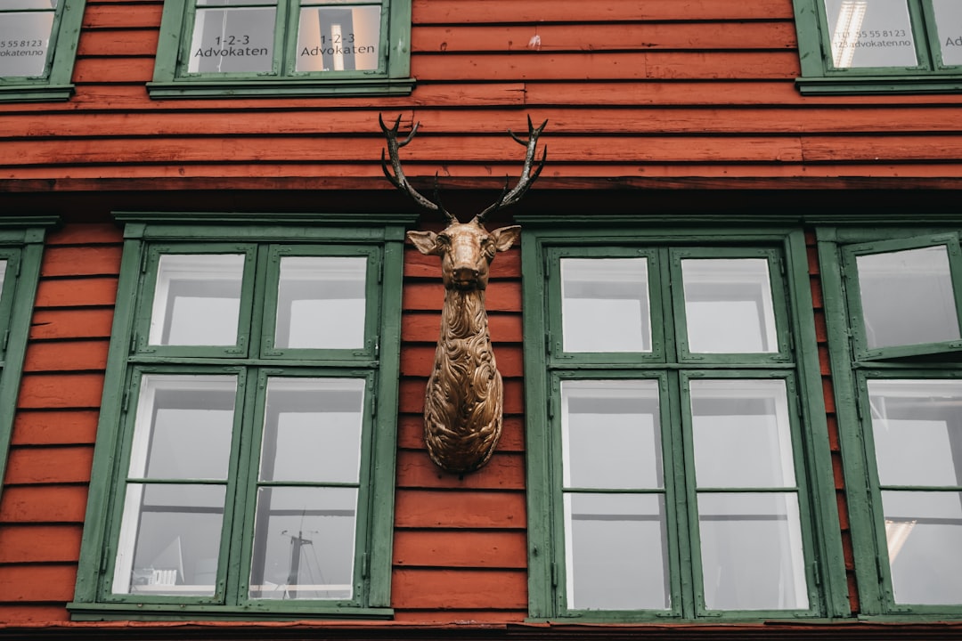 Строительство деревянных домов под ключ в Екатеринбурге