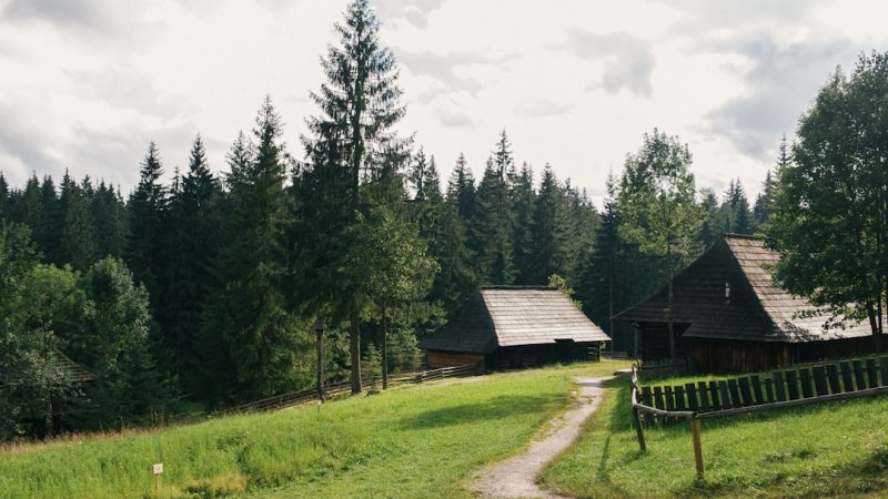 Строительство домов из бруса под ключ в Екатеринбурге