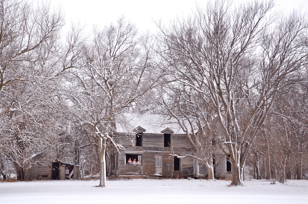 Строительство домов из клееного бруса