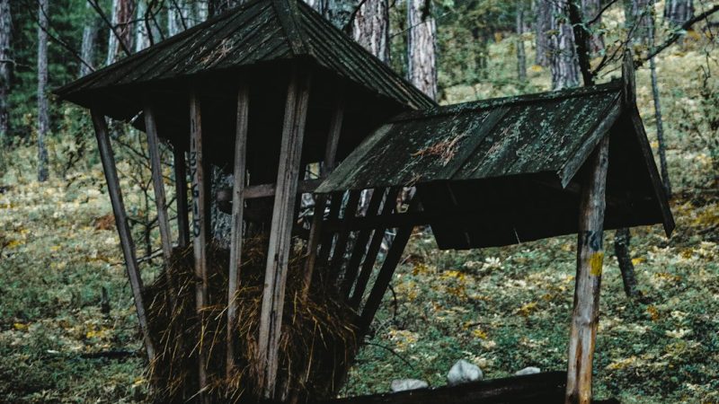 Производство и строительство домов из клееного бруса под ключ