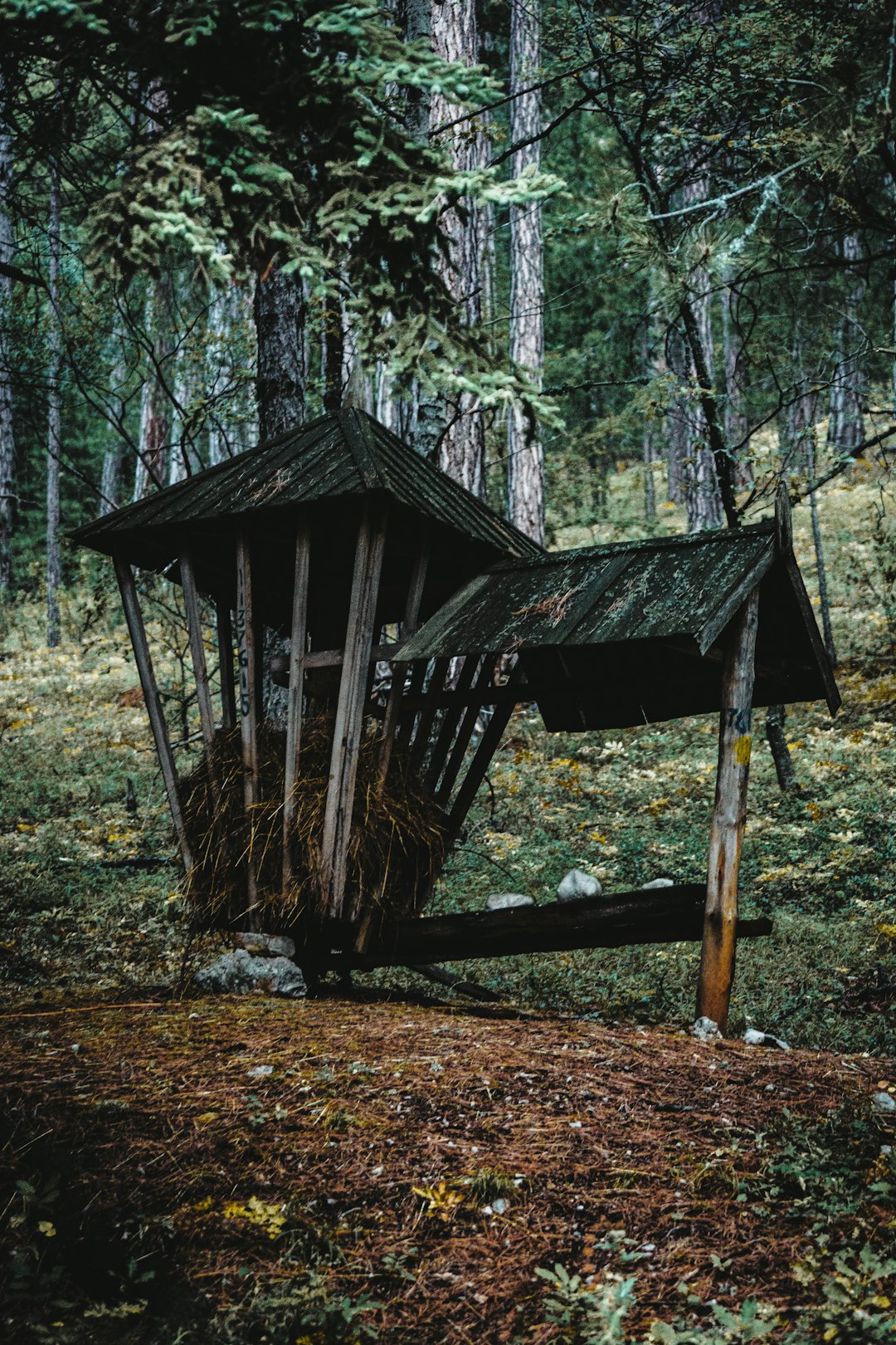 Производство и строительство домов из клееного бруса под ключ