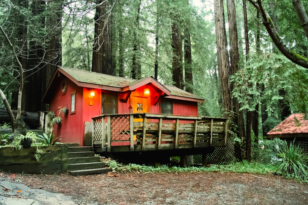 Строительство домов из бруса под ключ в Екатеринбурге