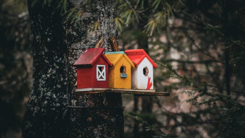 Дома из бруса под ключ в Екатеринбурге