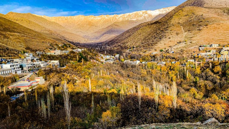 Строительство деревянных домов и бань из клееного бруса и оцилиндрованного бревна