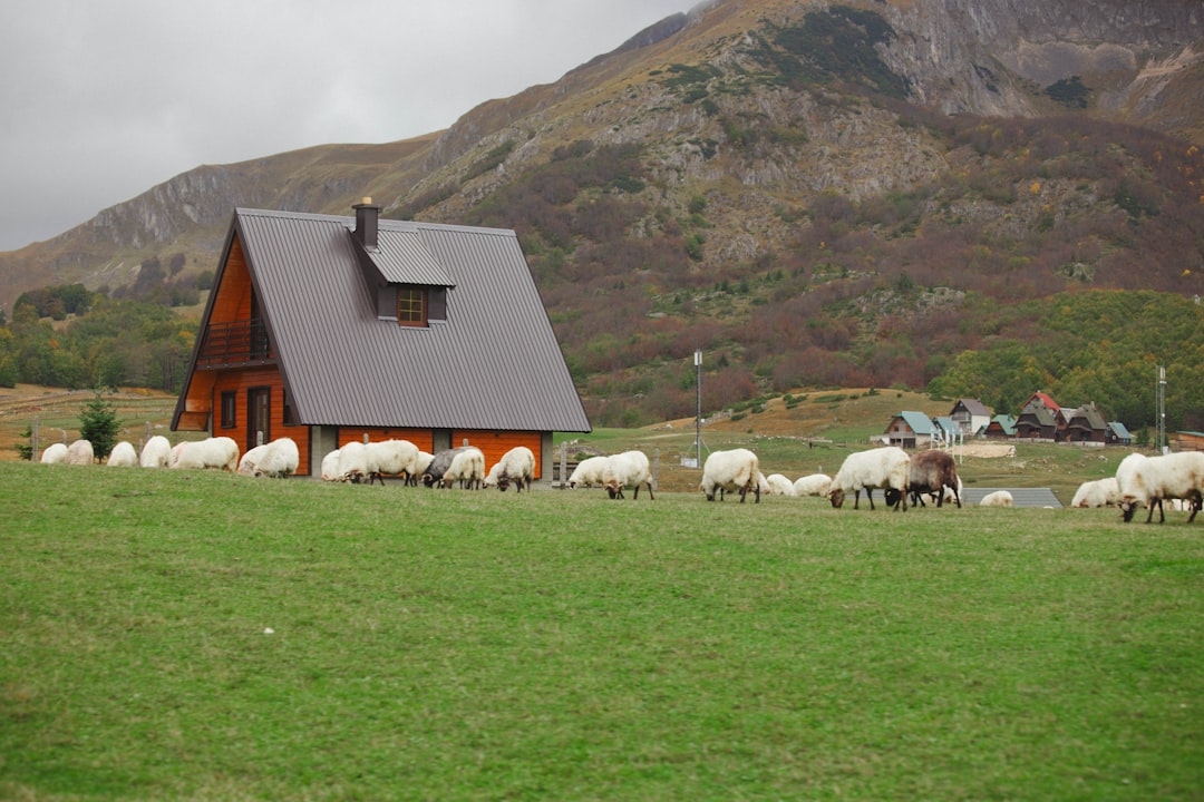 Строительство домов из клееного бруса под ключ в Екатеринбурге