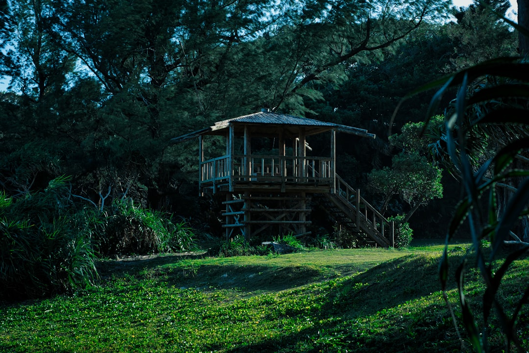 Строительство домов из бруса под ключ в Екатеринбурге