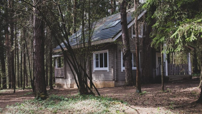 Преимущества строительства домов из клееного бруса в Екатеринбурге