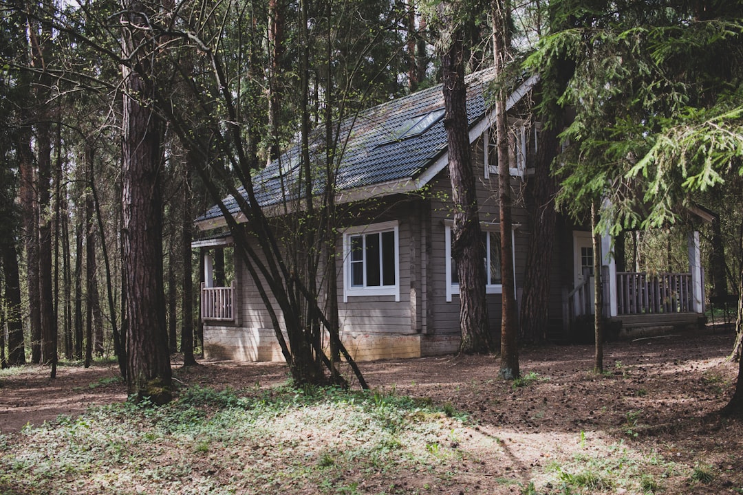 Преимущества строительства домов из клееного бруса в Екатеринбурге