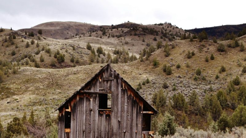 Производство и строительство домов из клееного бруса
