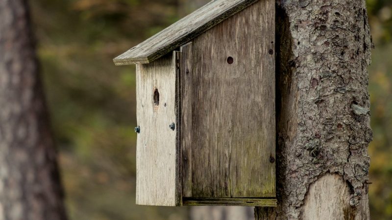 Строительство домов из клееного бруса