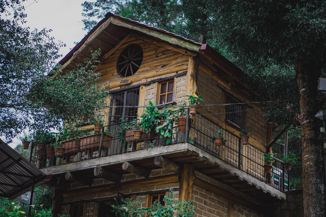 Строительство домов и бань из клееного бруса под ключ в Екатеринбурге