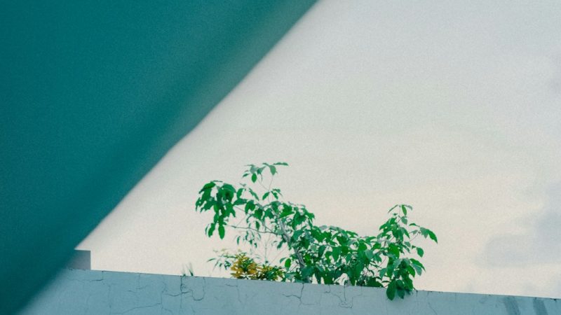 Строительство домов и бань из клееного бруса