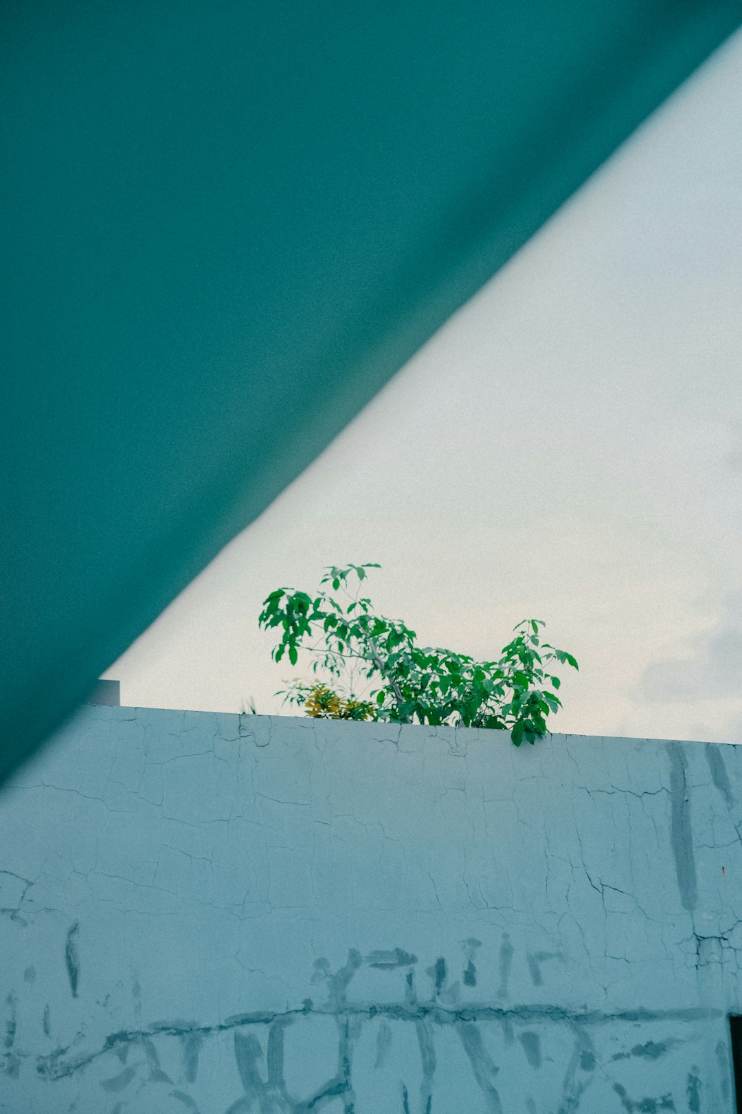 Строительство домов и бань из клееного бруса