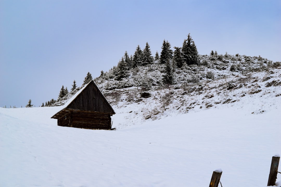Строительство домов из клееного бруса под ключ в Екатеринбурге