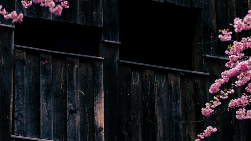 Преимущества финских домов из клееного бруса