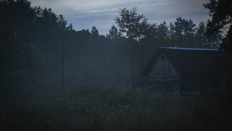 Строительство домов из клееного бруса в Екатеринбурге