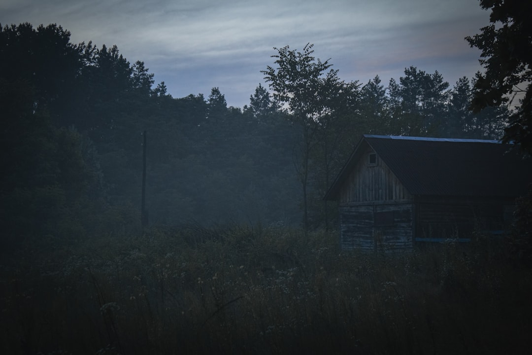 Строительство домов из клееного бруса в Екатеринбурге