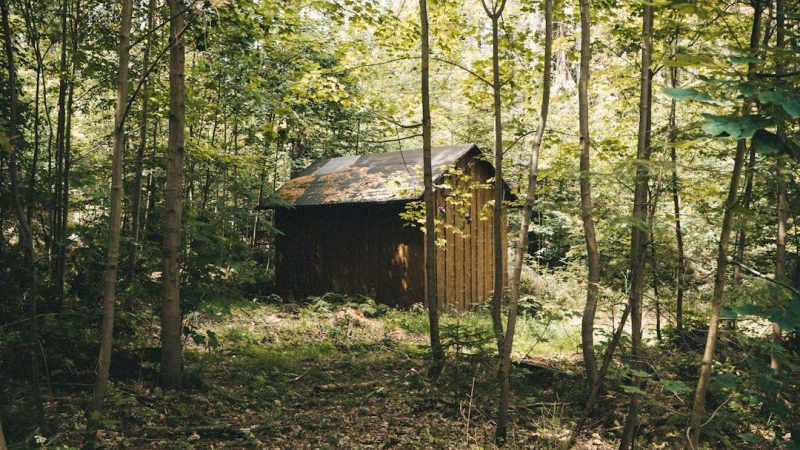 Строительство домов из бруса под ключ в Екатеринбурге