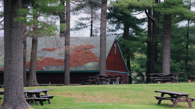 Строительство домов из клееного бруса под ключ