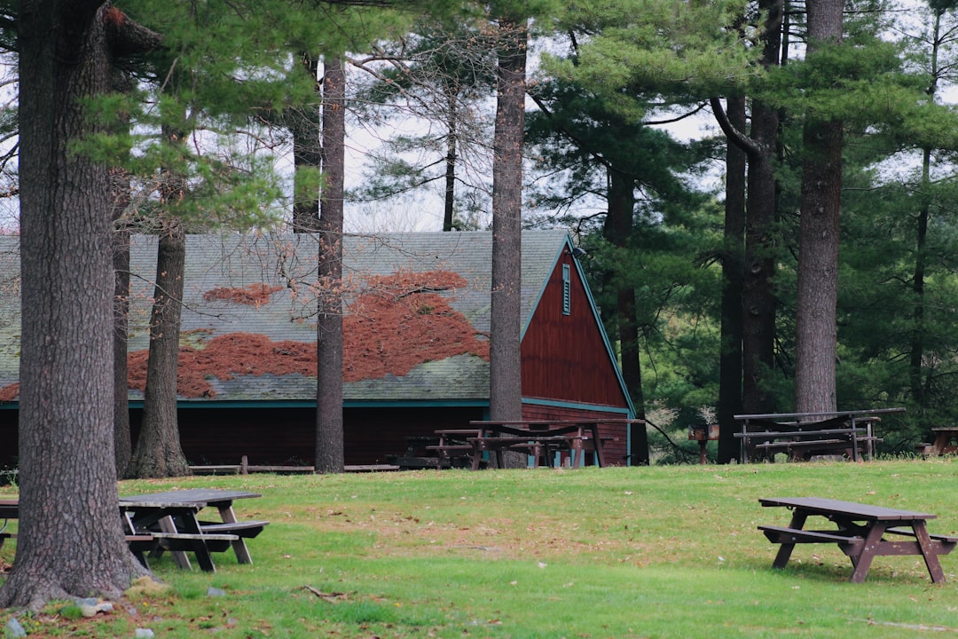 Строительство домов из клееного бруса под ключ
