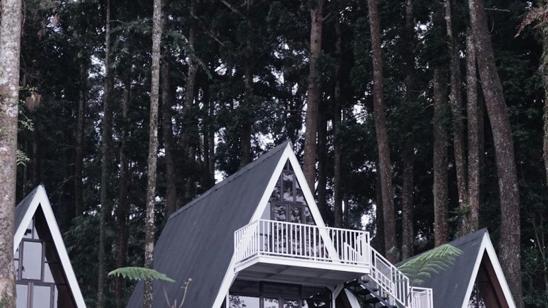 Производство и строительство домов из клееного бруса в Екатеринбурге