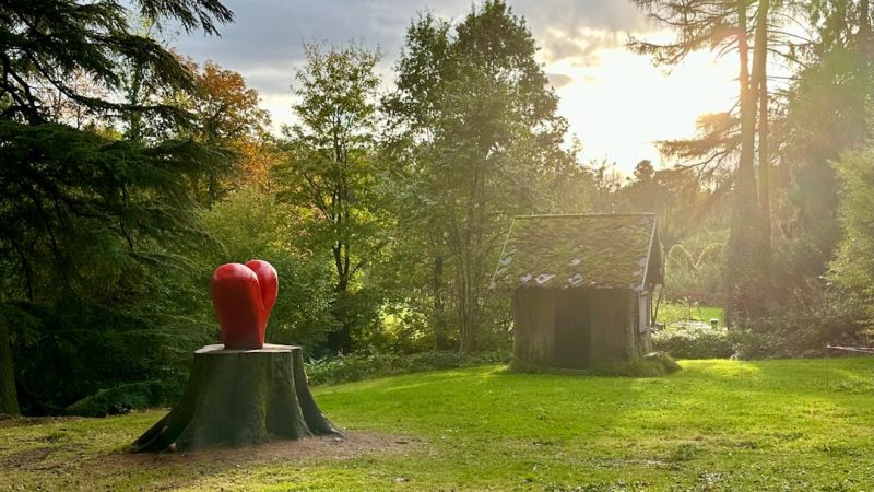 Строительство домов из бруса под ключ в Екатеринбурге