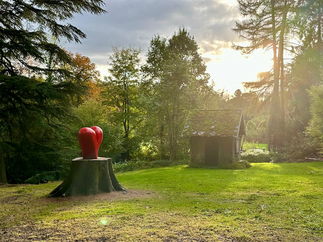 Строительство домов из бруса под ключ в Екатеринбурге