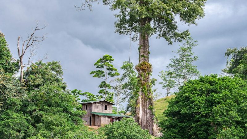 Строительство домов из бруса под ключ в Екатеринбурге