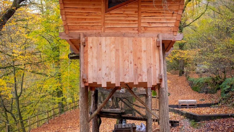 Строительство домов из бруса