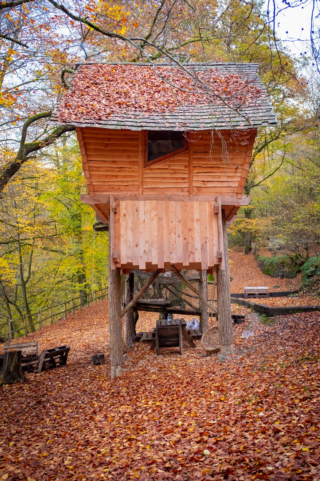 Строительство домов из бруса