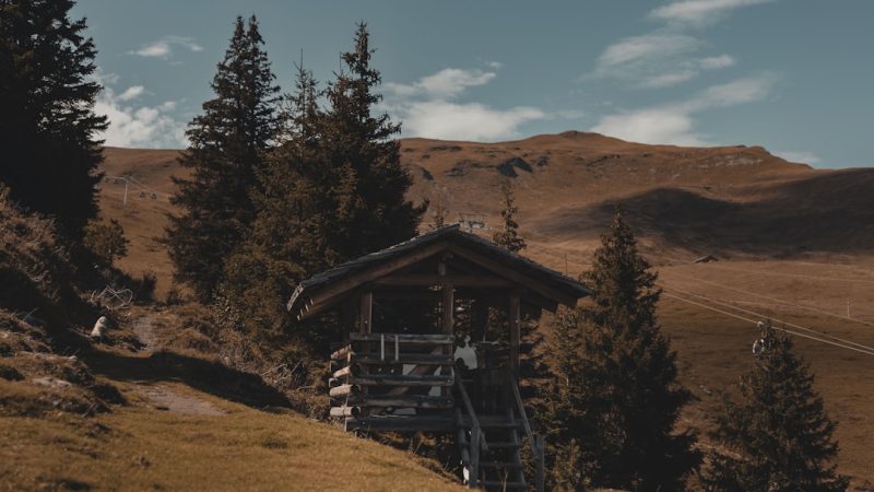 Производство и строительство домов из клееного бруса