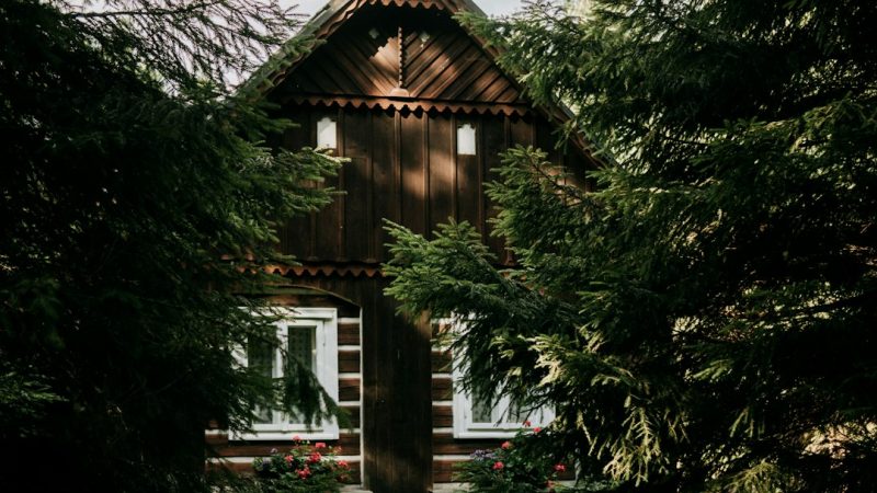 Строительство домов из бруса под ключ в Екатеринбурге